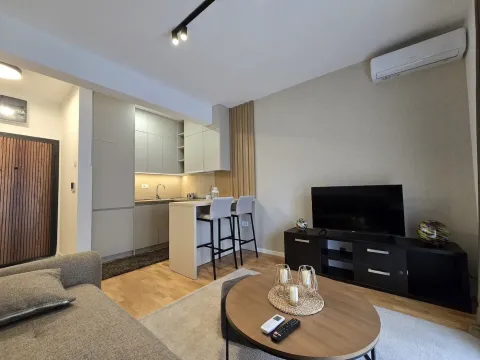 Izdavanje, stan, 26m², Zagorič, Podgorica - image 2