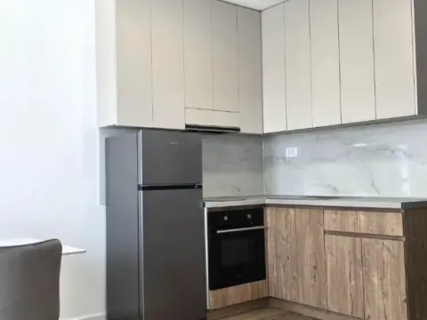 Izdavanje, jednosoban stan, 35m², Veternik, Novi Sad Sve Podlokacije - image 2