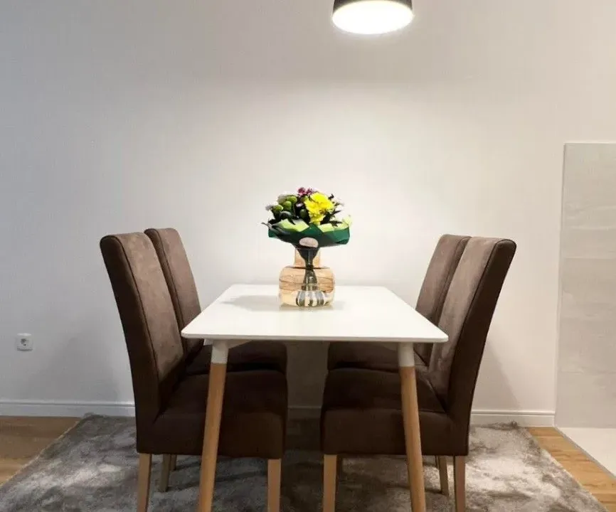 Izdavanje, jednosoban stan, 49m², Central Point, Podgorica