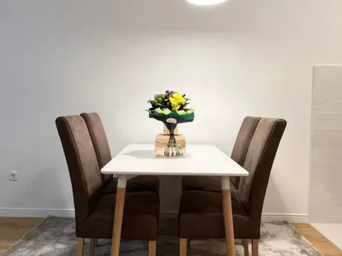 Izdavanje, jednosoban stan, 49m², Central Point, Podgorica