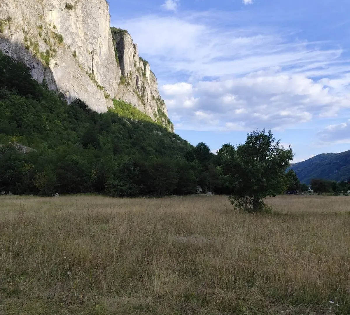 Prodaja, plac, 4700m², Žabljak, Crna Gora