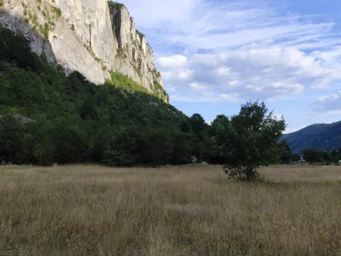 Prodaja, plac, 4700m², Žabljak, Crna Gora - image 3