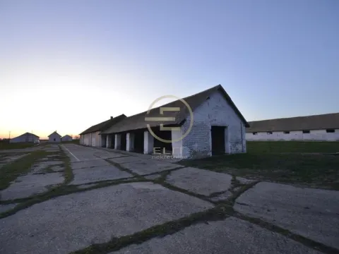 Prodaja, plac, 980m², Vrbas, Novi Sad - image 23