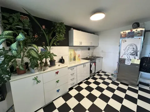 Sale, house, 123m², Adice, Novi Sad Sve Podlokacije - image 6