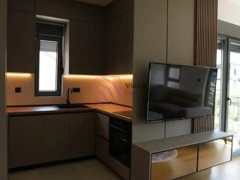 Izdavanje, jednosoban stan, 47m², Dalmatinska ulica, Podgorica - image 28