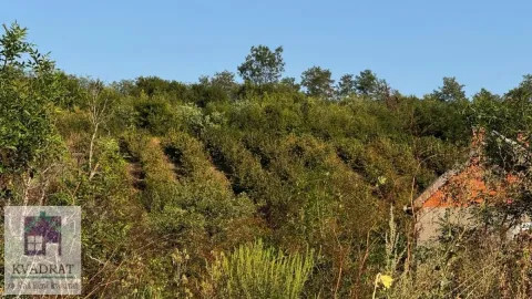 Pogled na zeleno dvorište sa rastinjem i delom objekta. - image 21