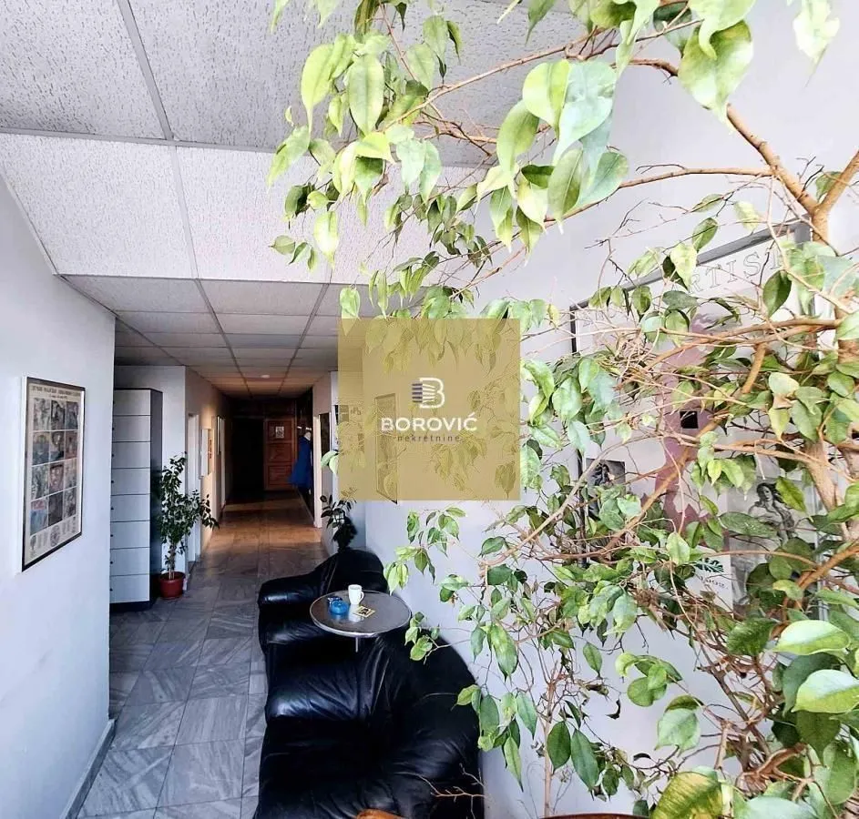 Sale, office space, 315m², Banovo Brdo, Beograd