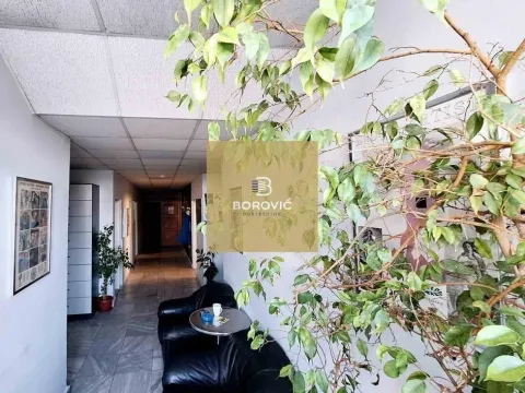 Sale, office space, 315m², Banovo Brdo, Beograd - image 15