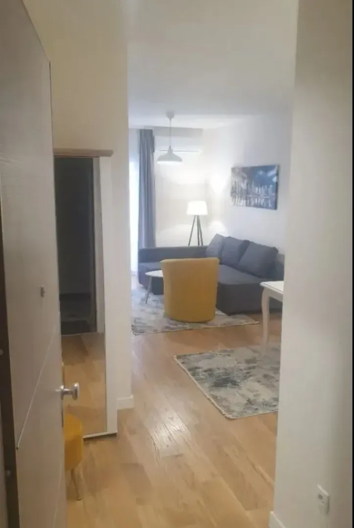 Izdavanje, jednosoban stan, 43m², Central Point, Podgorica