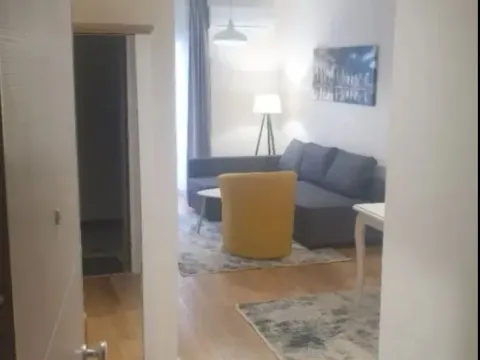 Izdavanje, jednosoban stan, 43m², Central Point, Podgorica - image 4