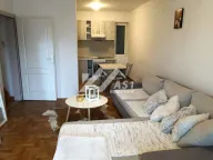 Izdavanje, dvosoban stan, 48m², Novi Sad Sve Podlokacije, Novi Sad - image 1