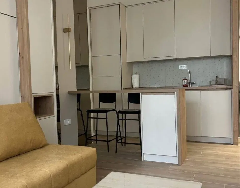 Izdavanje, garsonjera, 24m², Preko Morače, Podgorica