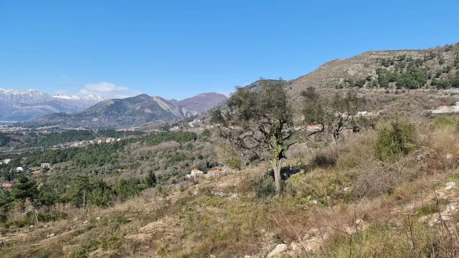 Prodaja, plac, 491m², Kotor, Crna Gora
