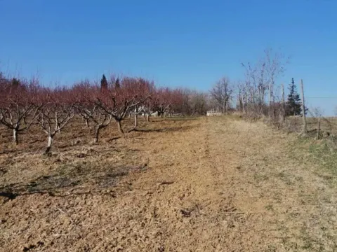 Prodaja, plac, 19600m², Dubona, Mladenovac - image 13