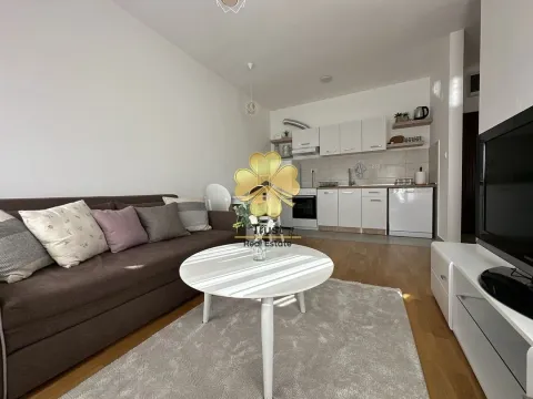 Izdavanje, jednosoban stan, 14m², Zabjelo, Podgorica