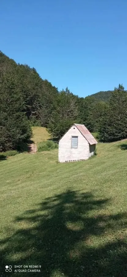 Prodaja, plac, 99100m², Donja Bukovica, Šavnik