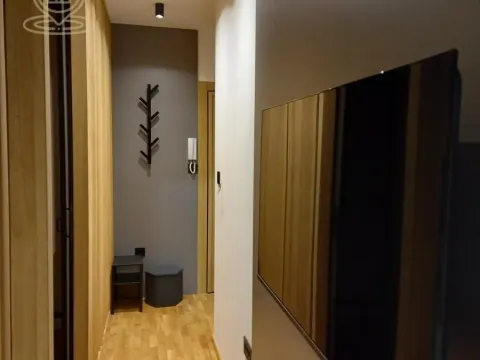 Izdavanje, jednosoban stan, 32m², Liman 4, Novi Sad Sve Podlokacije - image 10