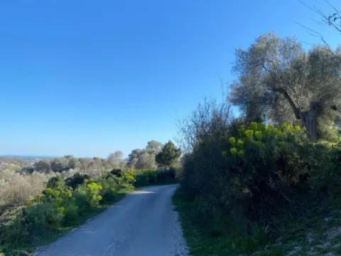 Prodaja, plac, 5500m², Kolomza, Ulcinj - image 7