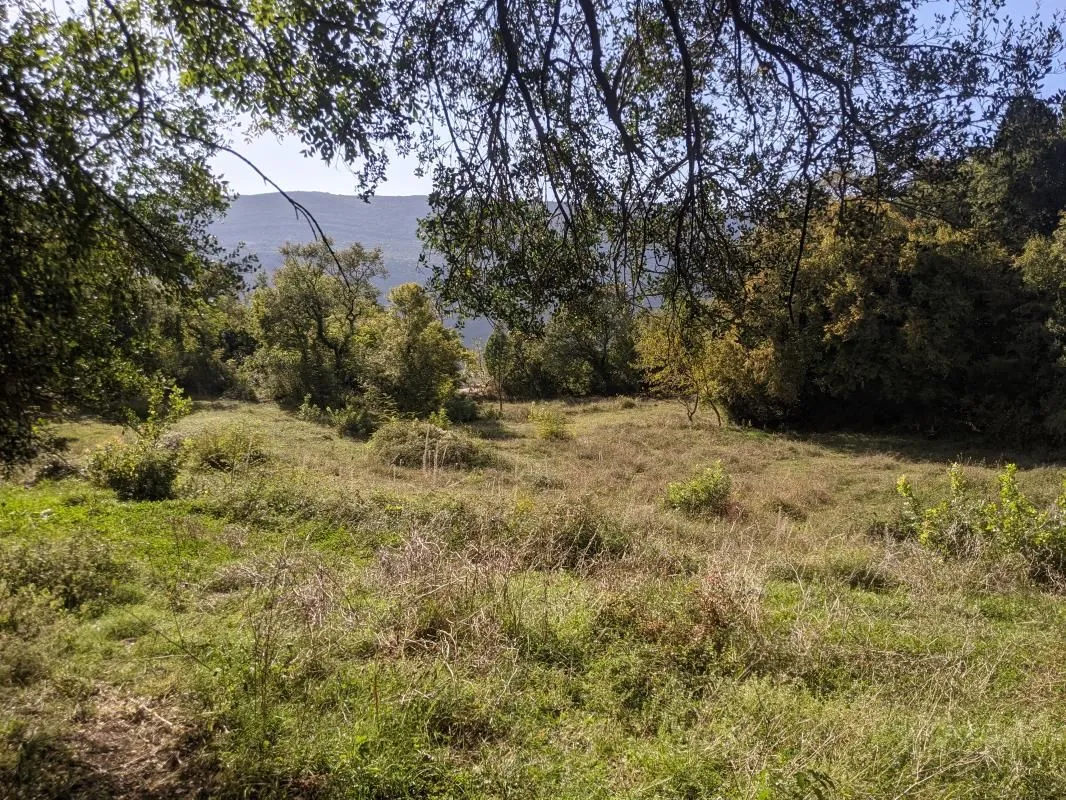 Prodaja, plac, 13700m², Herceg Novi, Crna Gora