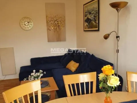 Izdavanje, dvosoban stan, 45m², Stari Grad, Beograd - image 8