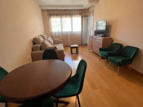 Izdavanje, jednosoban stan, 46m², Preko Morače, Podgorica - image 7