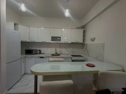 Izdavanje, jednosoban stan, 60m², Centar, Podgorica - image 4