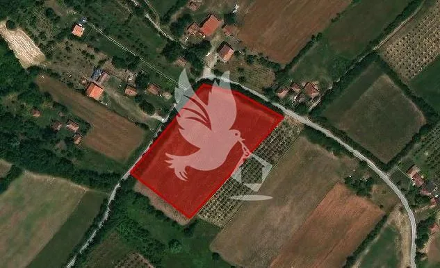 Sale, land lot, 3500m², Koraćica, Mladenovac