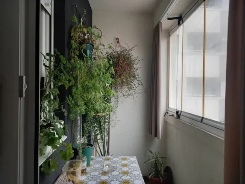 Rent, three bedroom apartment, 59m², Medijana, Niš - image 15