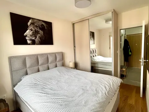 Izdavanje, jednosoban stan, 42m², Central Point, Podgorica - image 7