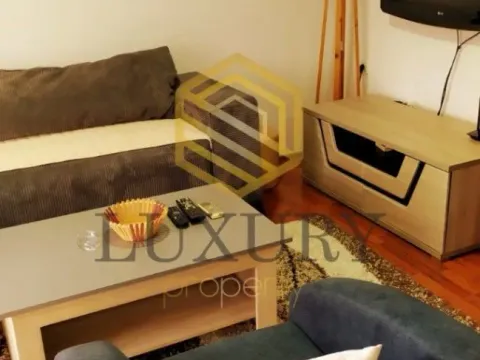 Izdavanje, dvosoban stan, 70m², Gornja Gorica, Podgorica - image 4