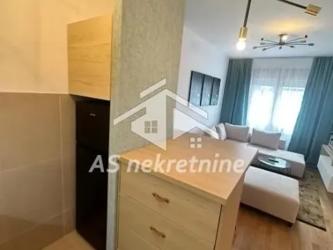 Izdavanje, dvosoban stan, 49m², Južni Bulevar, Vračar Sve Podlokacije - image 5