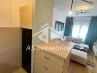 Izdavanje, dvosoban stan, 49m², Južni Bulevar, Vračar Sve Podlokacije - image 5