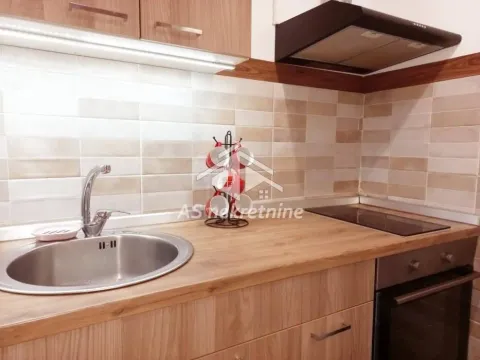 Rent, two bedroom apartment, 44m², Stari Grad, Beograd - image 11