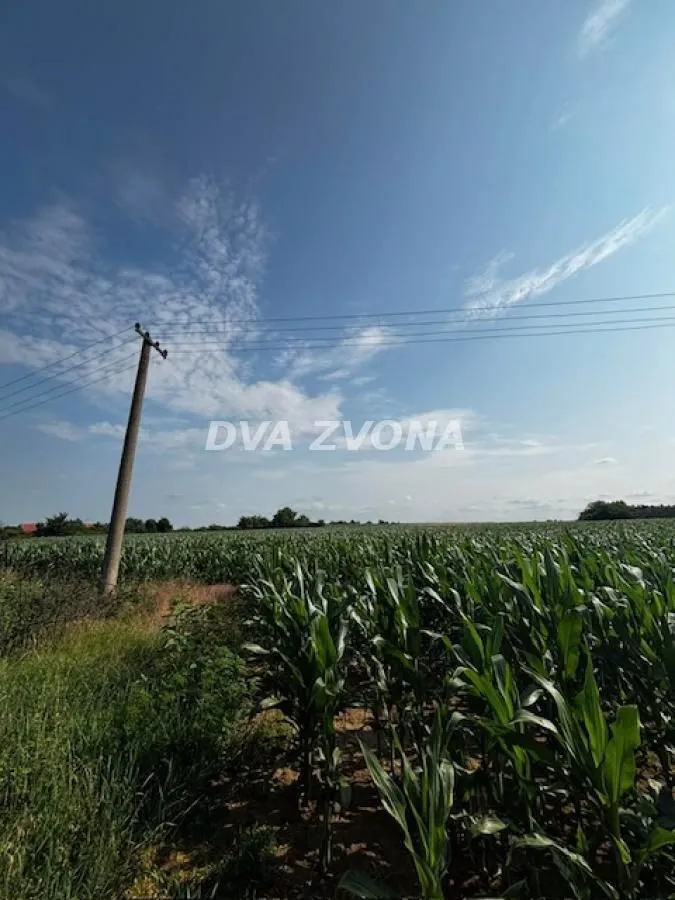 Prodaja, plac, 4700m², Čortanovci, Inđija