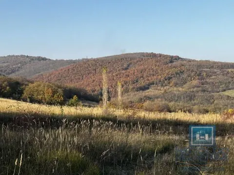 Sale, house, 20m², Lozovik, Jagodina - image 18