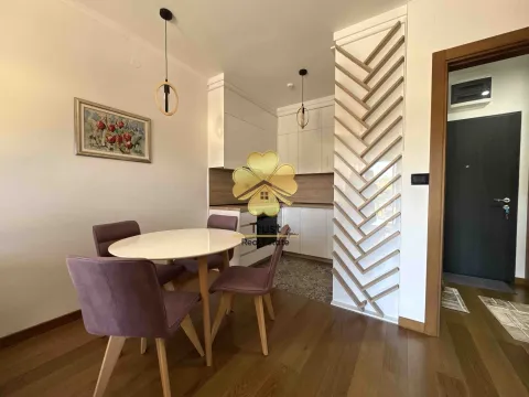 Izdavanje, jednosoban stan, 50m², Ljubović, Podgorica - image 4