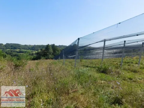 Sale, land lot, 350m², Kragujevac, Srbija - image 30