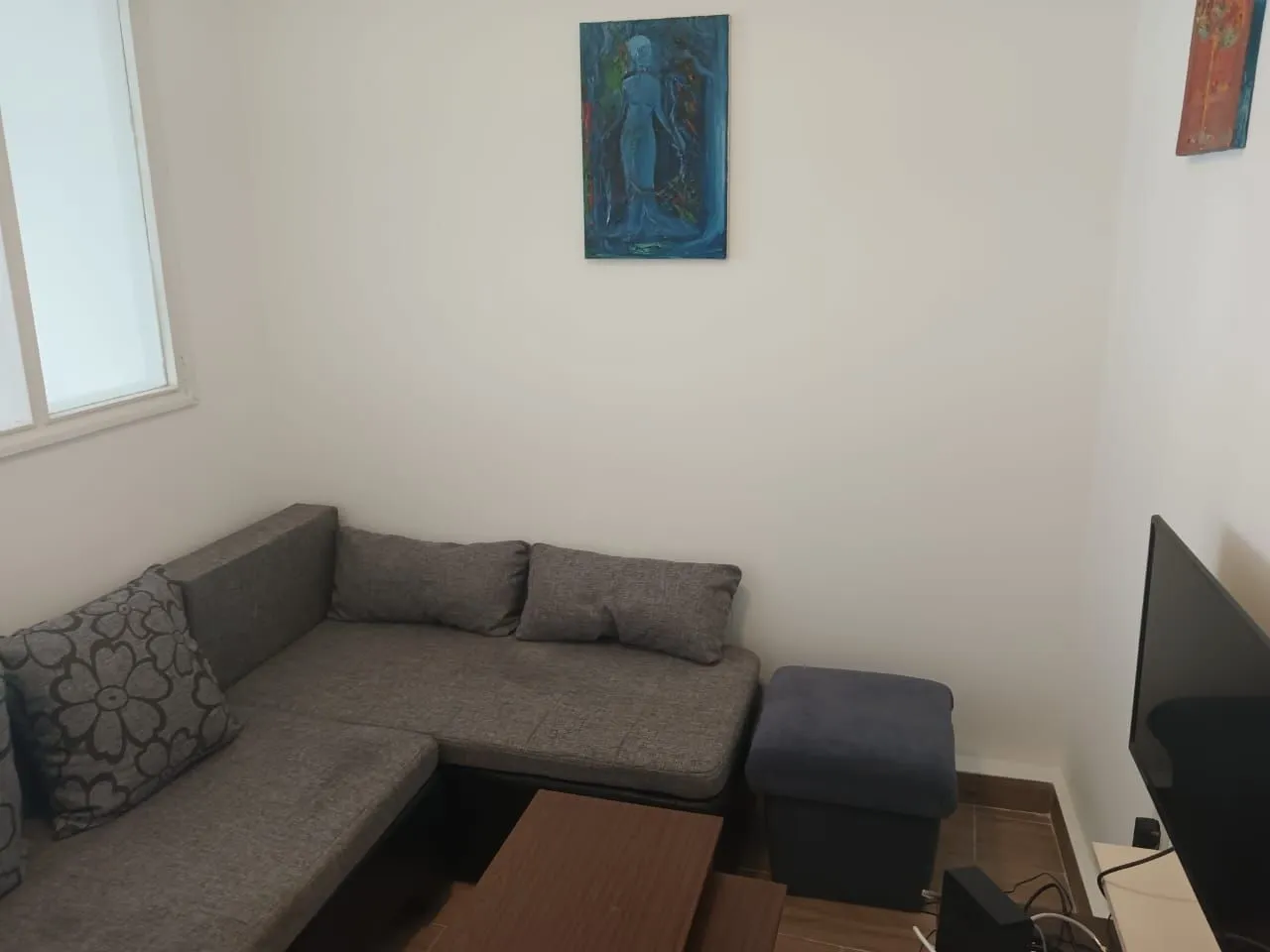 Izdavanje, jednosoban stan, 46m², Preko Morače, Podgorica