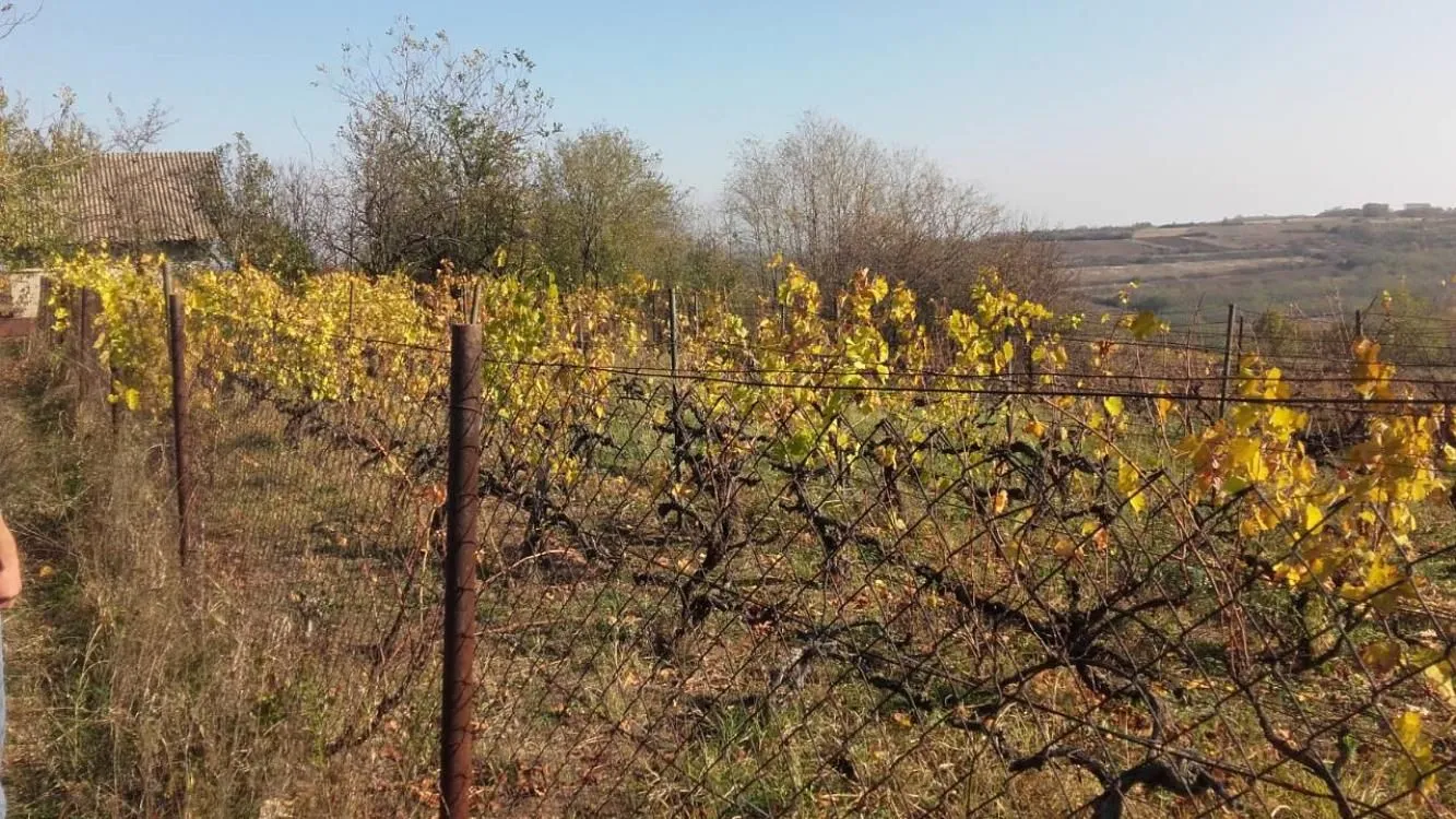 Prodaja, kuća, 30m², Miloševo, Jagodina