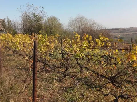 Prodaja, kuća, 30m², Miloševo, Jagodina - image 2