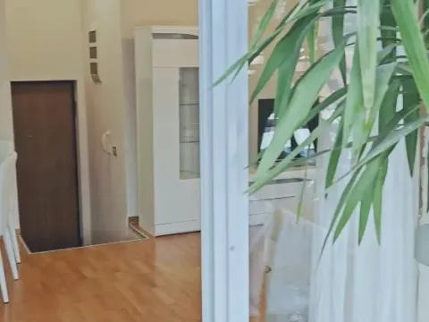 Izdavanje, trosoban stan, 68m², Košutnjak, Beograd - image 9