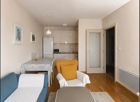 Rent, one bedroom apartment, 41m², Zabjelo, Podgorica - image 4