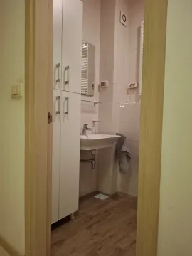 View through the doorway into a furnished bathroom with a sink and cabinet. - image 17
