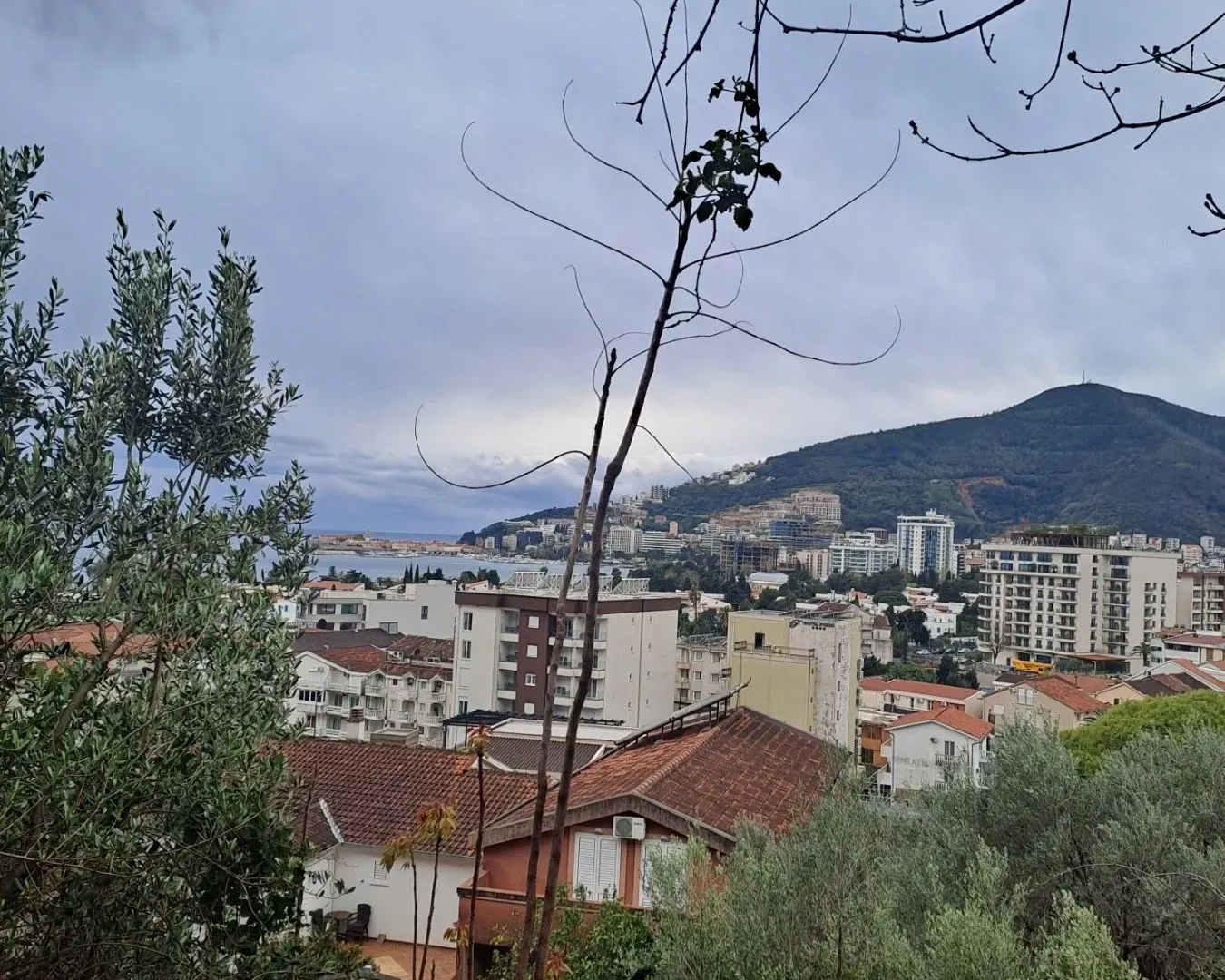 Prodaja, plac, 3004m², Podkošljun, Budva