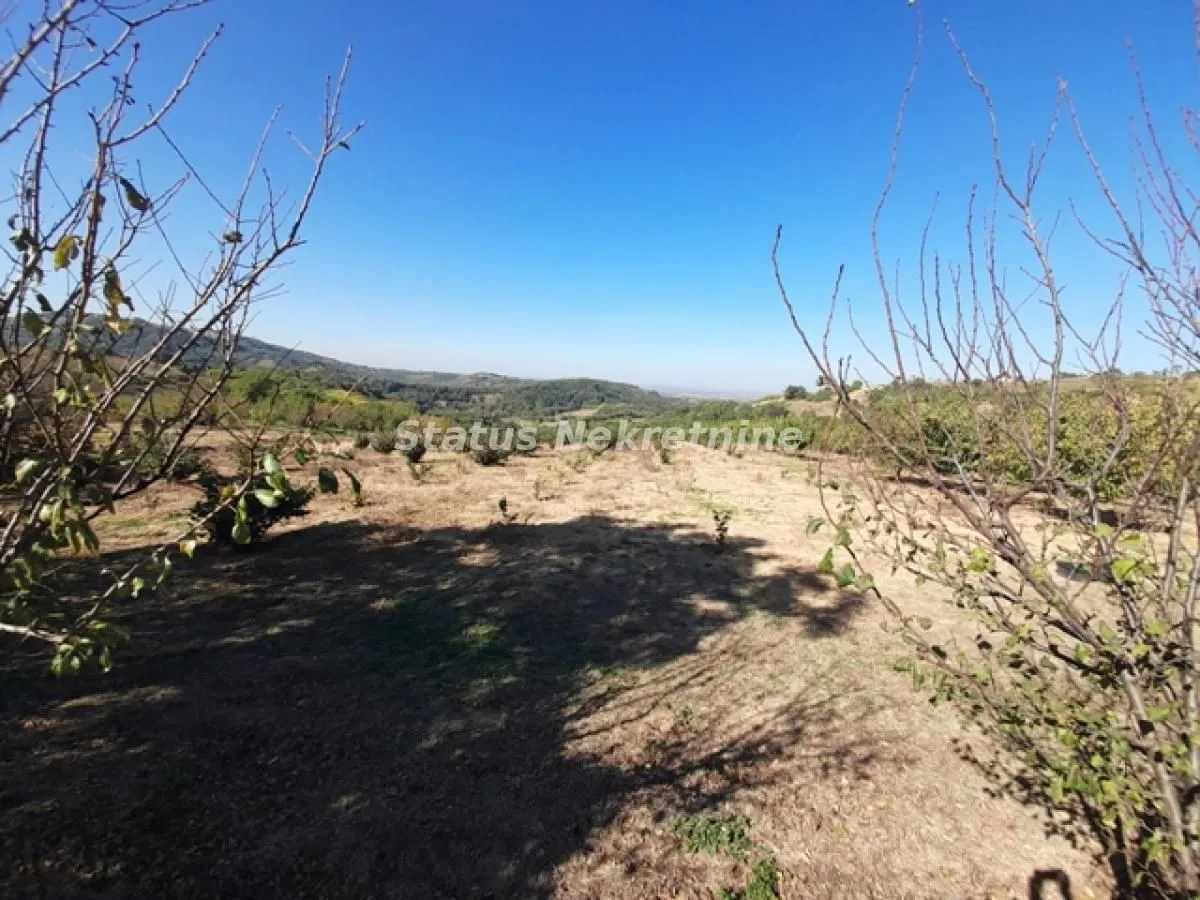 Prodaja, plac, 7900m², Ledinci, Petrovaradin