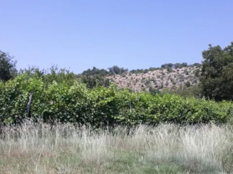 Sale, house, 212m², Martinići, Danilovgrad - image 3