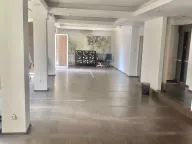 Izdavanje, poslovni prostor, 170m², Trošarina, Voždovac Sve Podlokacije - image 5