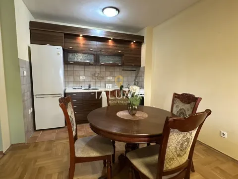 Izdavanje, jednosoban stan, 50m², Stari Aerodrom, Podgorica - image 9