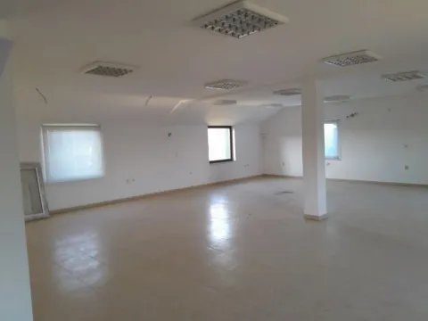 Prodaja, poslovni prostor, 860m², Veternik, Novi Sad Sve Podlokacije - image 4