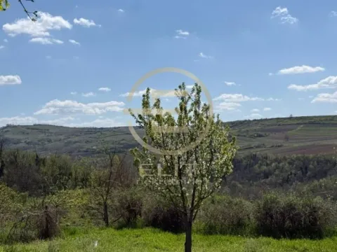 Prodaja, plac, 2106m², Banoštor, Beočin - image 7
